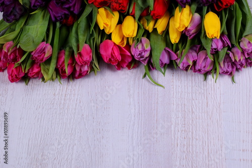 Fototapeta Naklejka Na Ścianę i Meble -  Tulipany