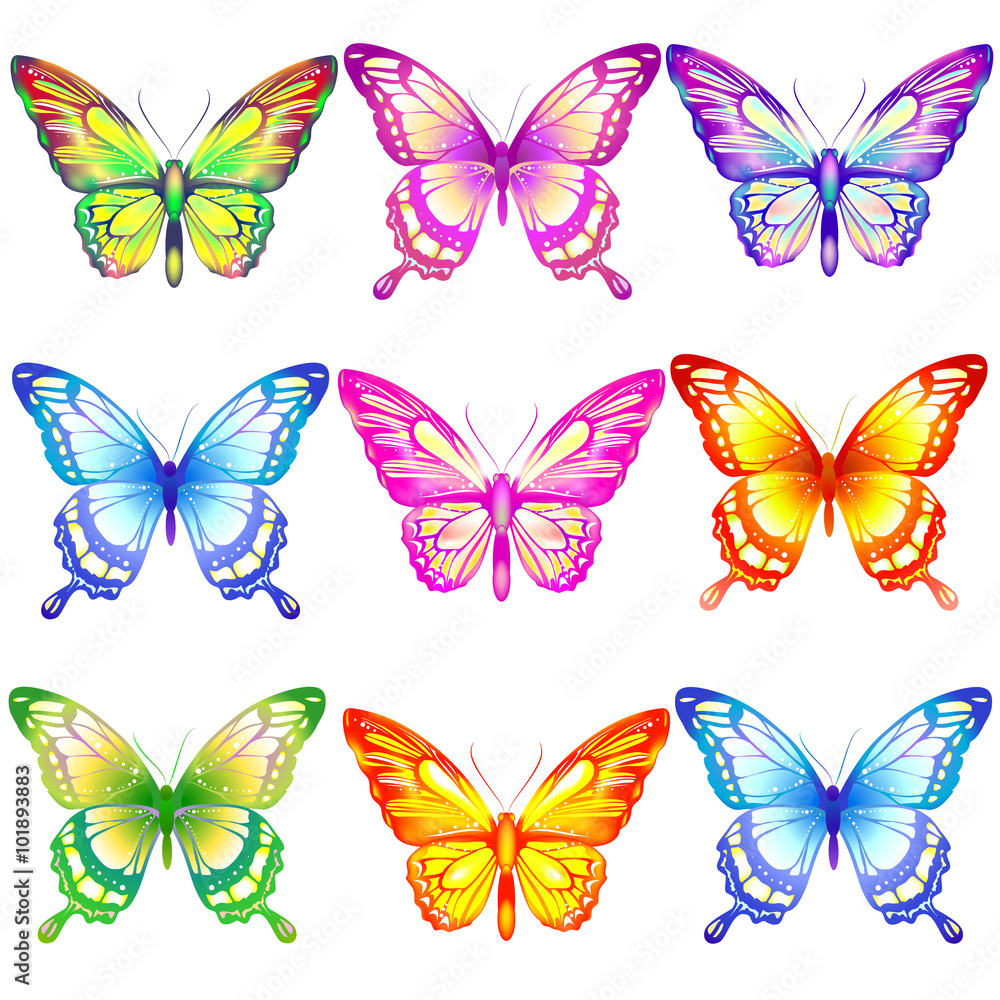 butterflies design butterflies design