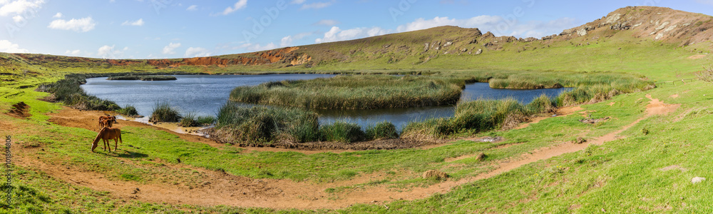 In the crater of Rano Raraku Volcano, Easter Island, Chile In the crater of Rano Raraku Volcano, Easter Island, Chile