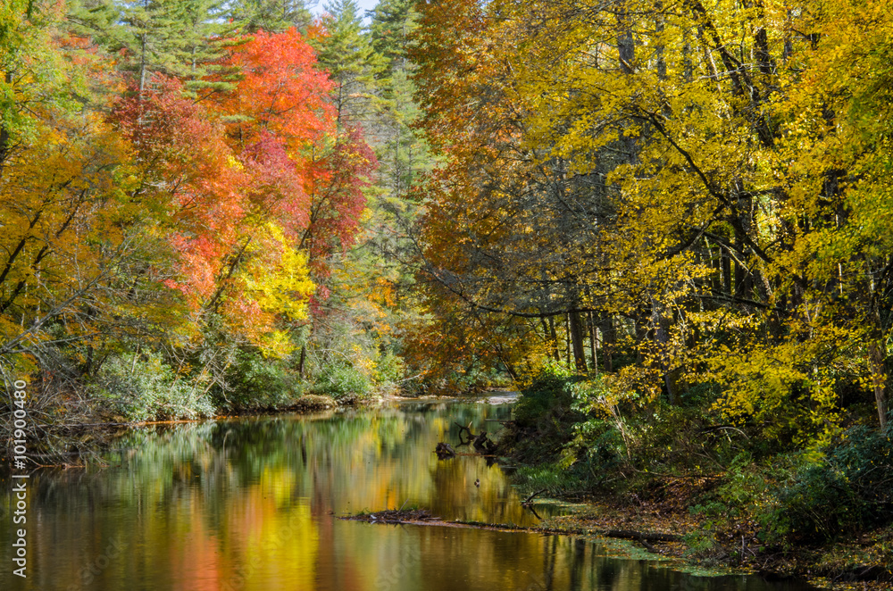 Fall leaves along Linville River Fall leaves along Linville River