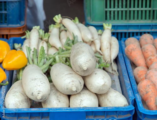 Fresh organic daikon radishes