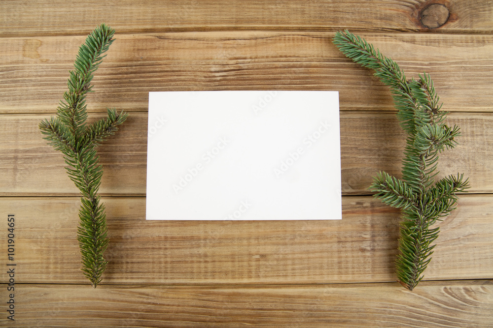 branch of fir-tree and postal branch of fir-tree and postal