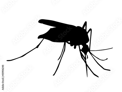 Zika Mücke Silhouette