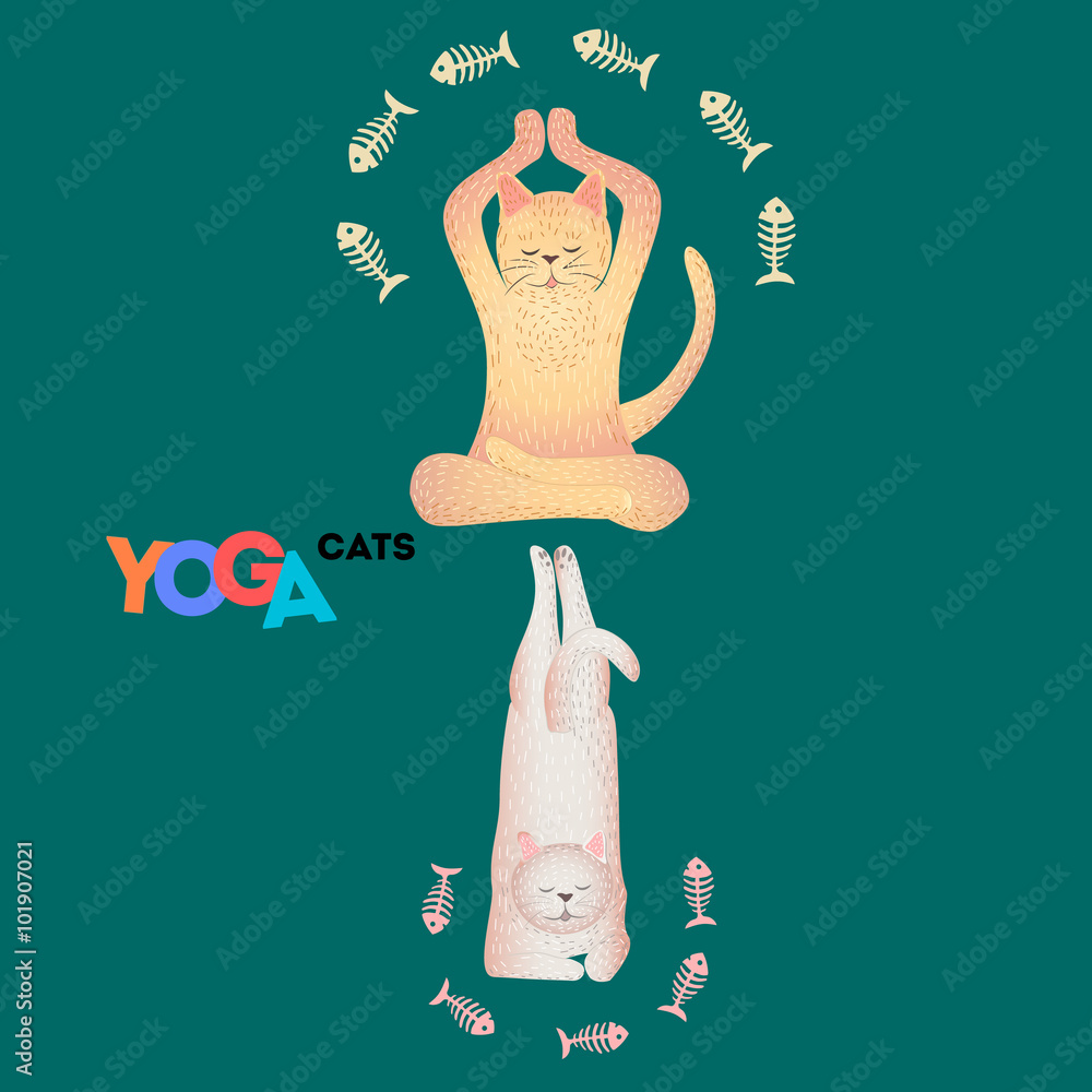yoga cats. Stylized pets in poses. Funny set. Bright colors. Vector
