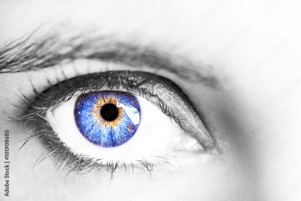 Fototapeta premium Image of a beautiful insightful look human eye