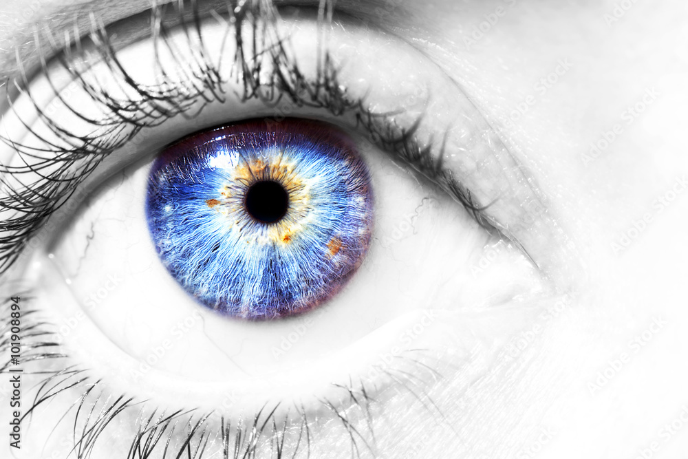 Obraz premium Image of a beautiful insightful look human eye