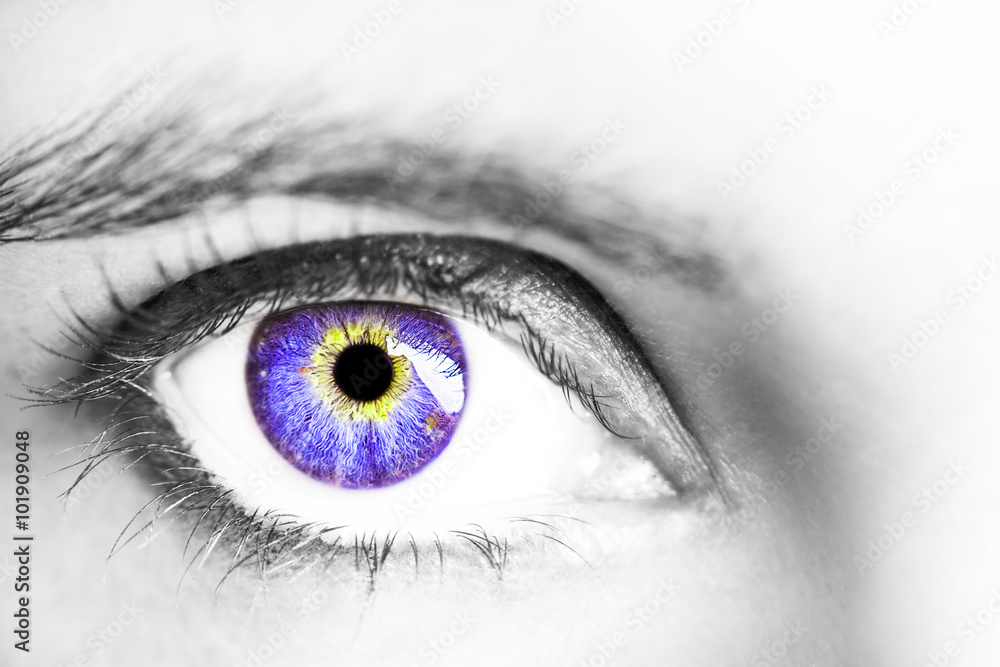 Image of a beautiful insightful look human eye Image of a beautiful insightful look human eye