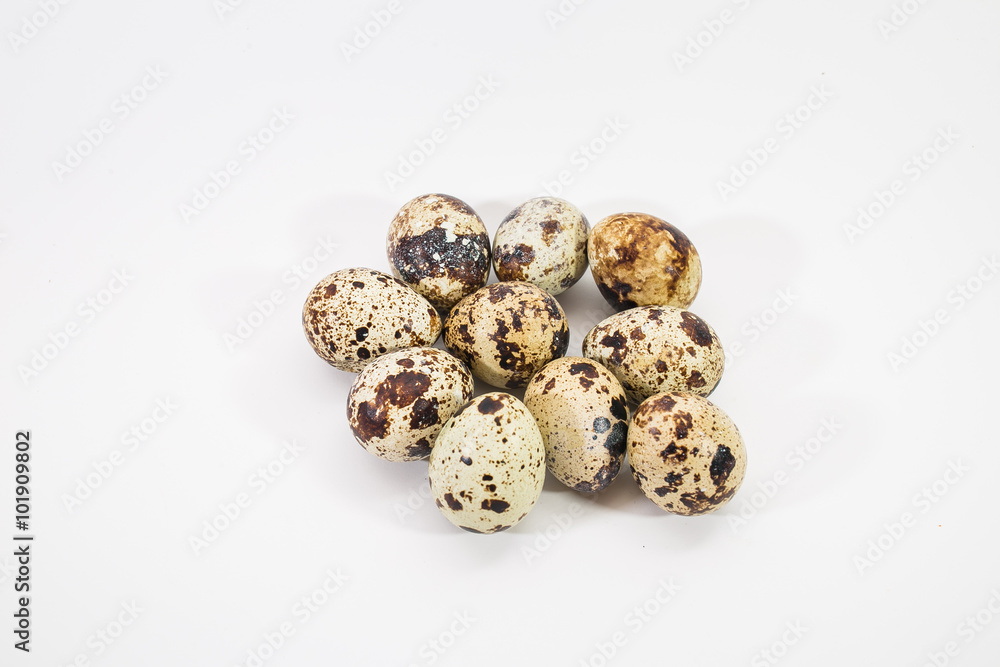 quail egg. Isolated on white background