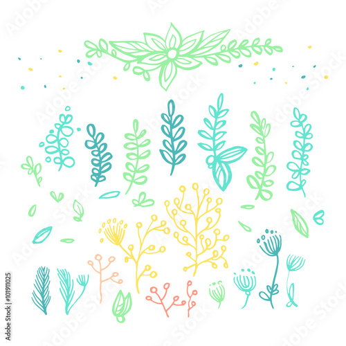 Set of hand drawn plants