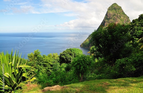 Lush vegetation over Piton