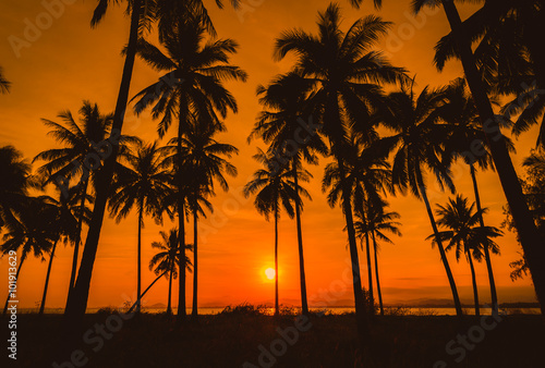 Silhouette coconut palm trees on beach at sunset.