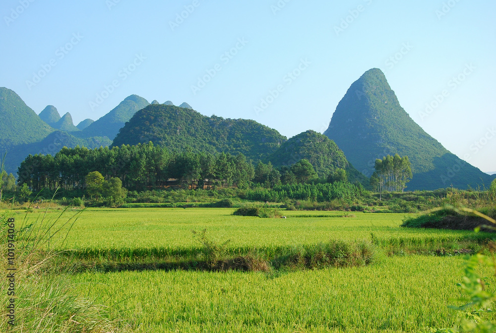 Beautiful Karst rural scenery in spring, China Beautiful Karst rural scenery in spring, China