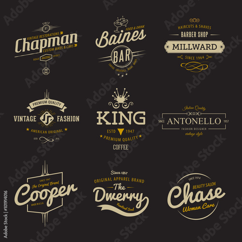 Vector vintage labels. Templates Set for banner, insignias, business brand logo design.