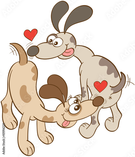 Fototapeta Naklejka Na Ścianę i Meble -  Enthusiastic dogs with bulging eyes, big noses and long ears while wagging their tails, sticking their tongues out, showing red hearts and falling irremediably in love by sniffing their butts