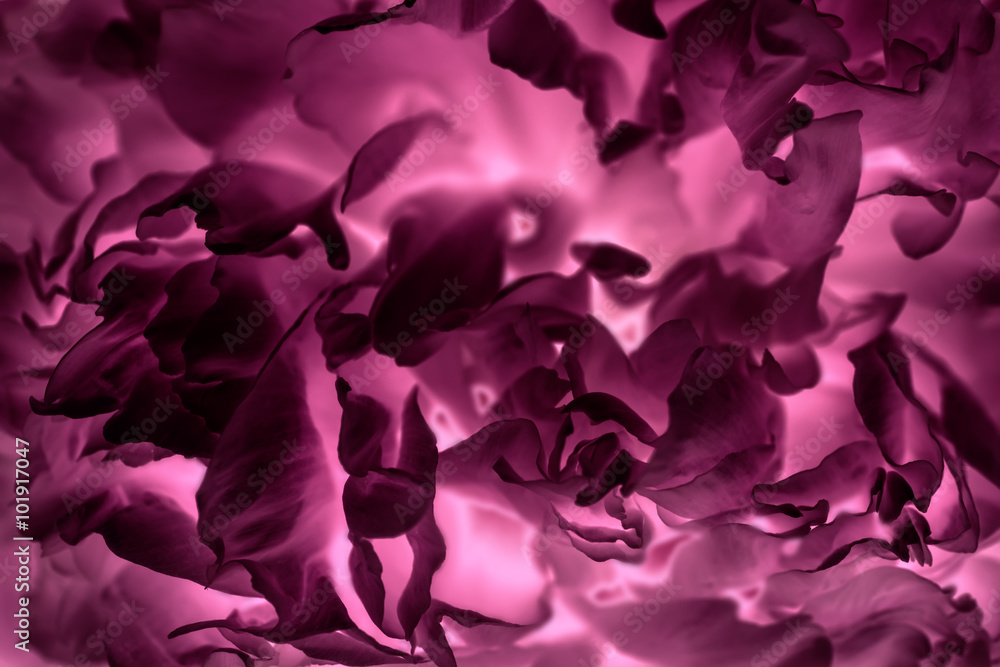 Fototapeta premium Abstract background texture