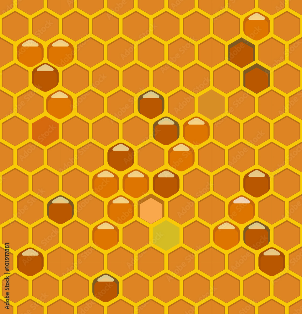 Bee hives with honey Bee hives with honey
