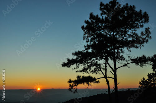 Sunset with silhouette of trees in national park / Sunset with silhouette of trees in Huaynamdung national park, Mae Hong Sorn, Thailand