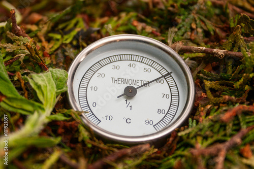 Close up photo of a thermometer showing high temperature in the compost photo