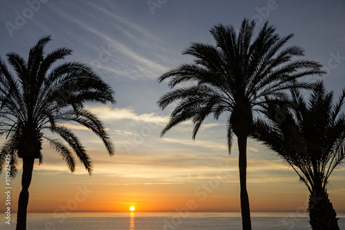 Palm beach, seaside, sunset view. Summer nature scene.