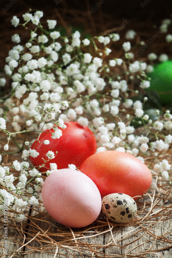 Obraz premium Red and pink Easter eggs and quail spotted eggs on old wooden ba