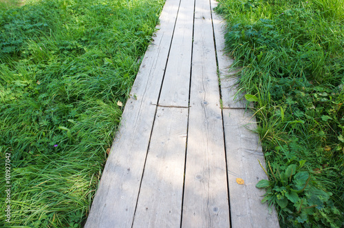 Wooden planked footway in grass