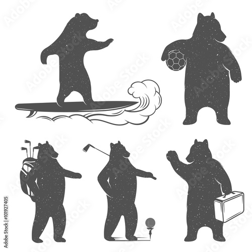 Vintage Illustration of Bear