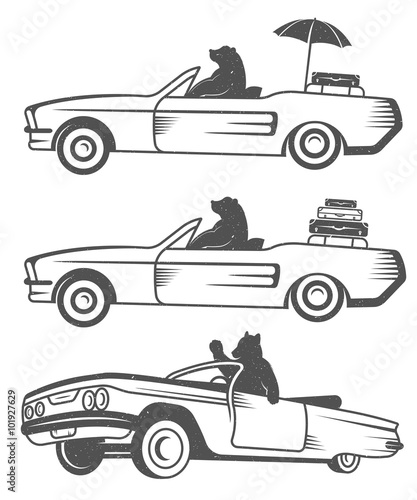Vintage Illustration of Bear