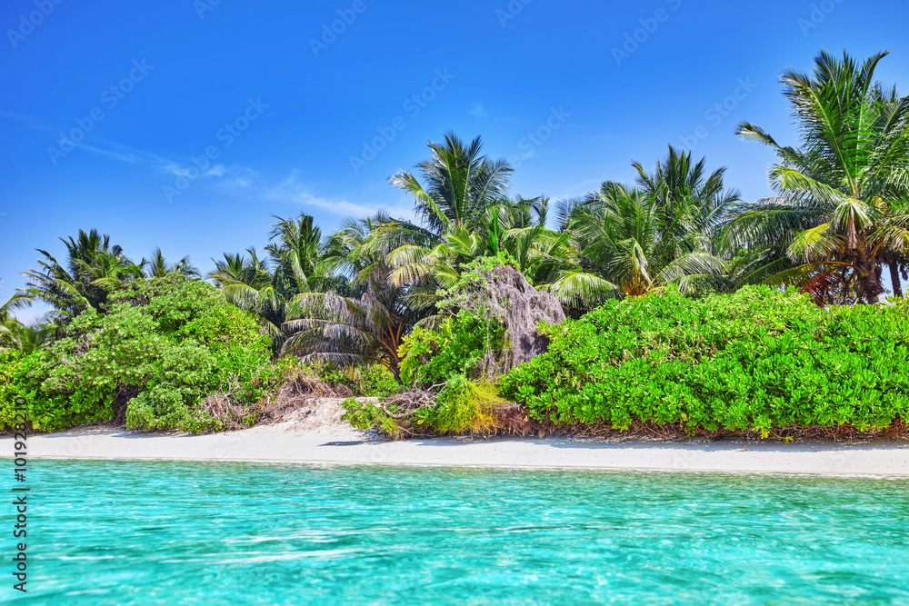 Shoreline of a tropical island in the Maldives and view of the I