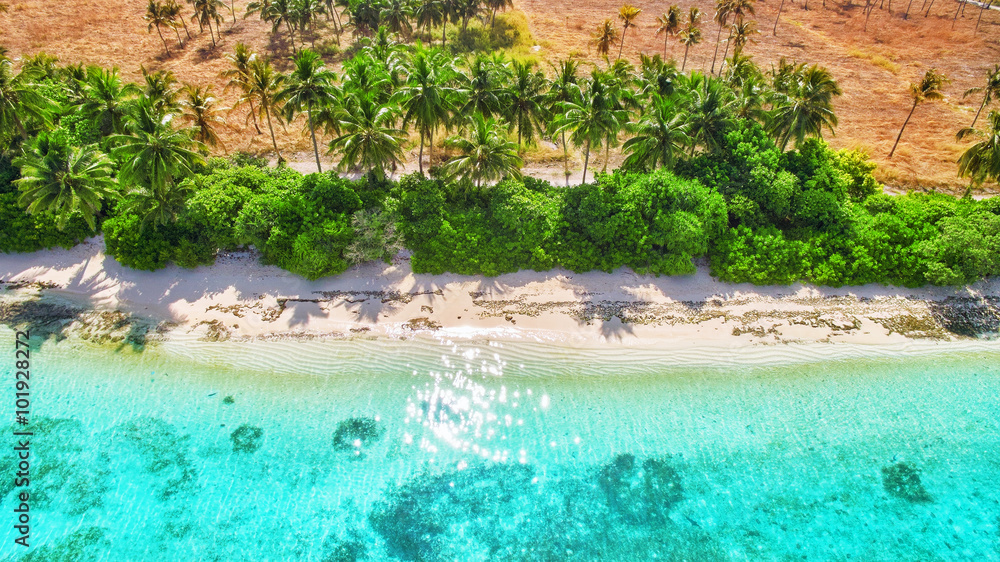 Φωτογραφία Shoreline of a tropical island in the Maldives and view of the I