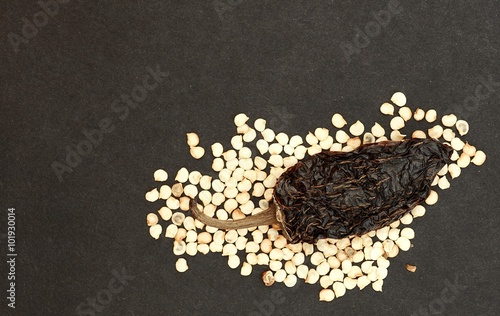 Close up of food arrangement of single chipotle chilli surrounded by chilli seeds on a dark background. photo