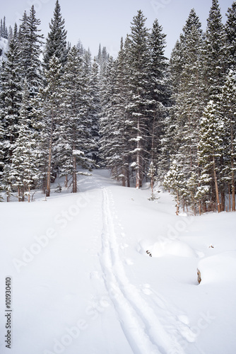 snow track © tharathepptl