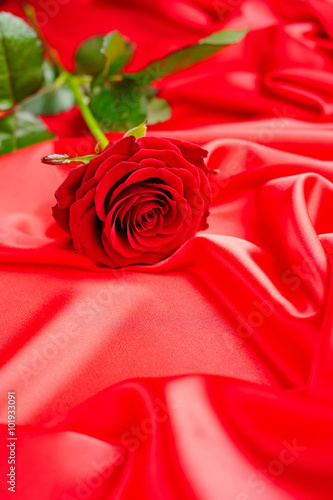 Red rose on a red satin background