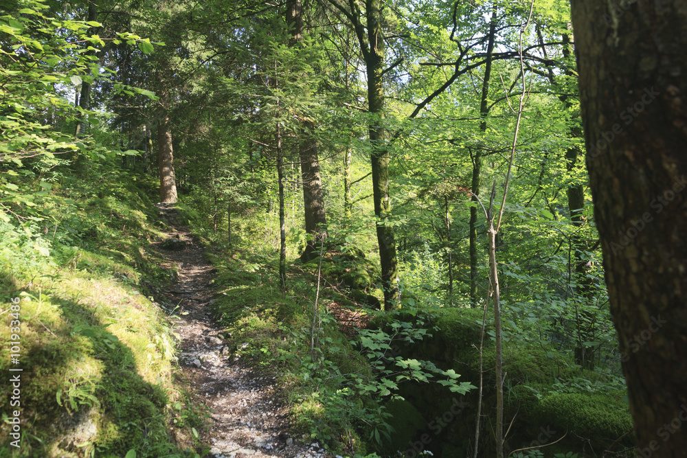 Wanderpfad bei Consolation-Maisonnettes Wanderpfad bei Consolation-Maisonnettes