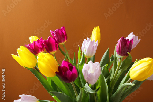 Fototapeta Naklejka Na Ścianę i Meble -  fresh colour tulips