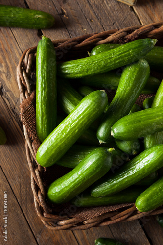 Raw Organic Mini Baby Cucumbers