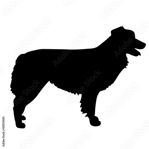 Australian Shepherd Silhouette