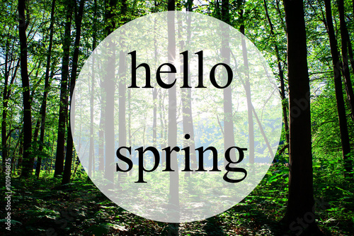 hello spring, beautiful green forest