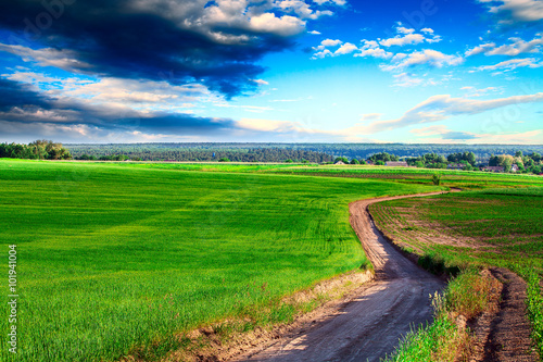 Green Field and Beautiful Sunset