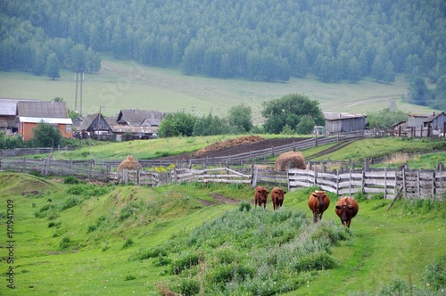 rural nature in Russia