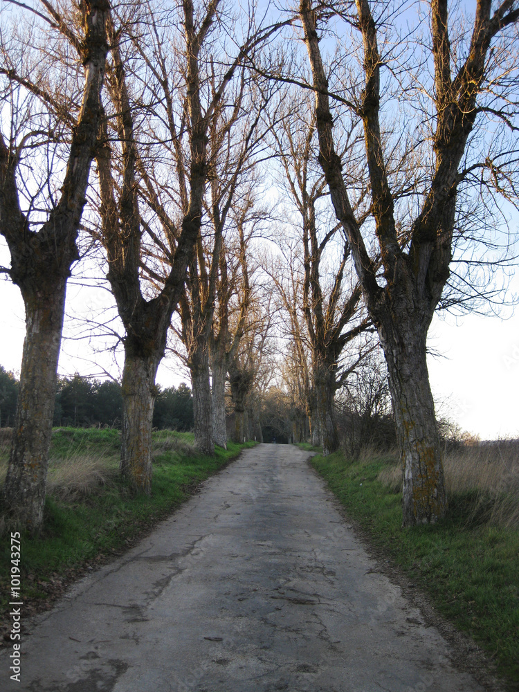 Obraz premium Carreteras 