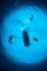 Foto auf Acrylglas Tauchen Divers Descend into Blue Water  © ead72