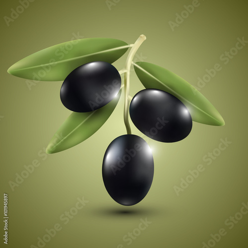 Dark olive on a green background, vector illustration.