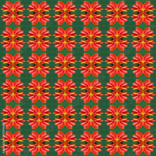 Seamless Orange flower pattern, abstract simple background