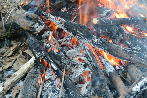 Bonfire. Fire Background