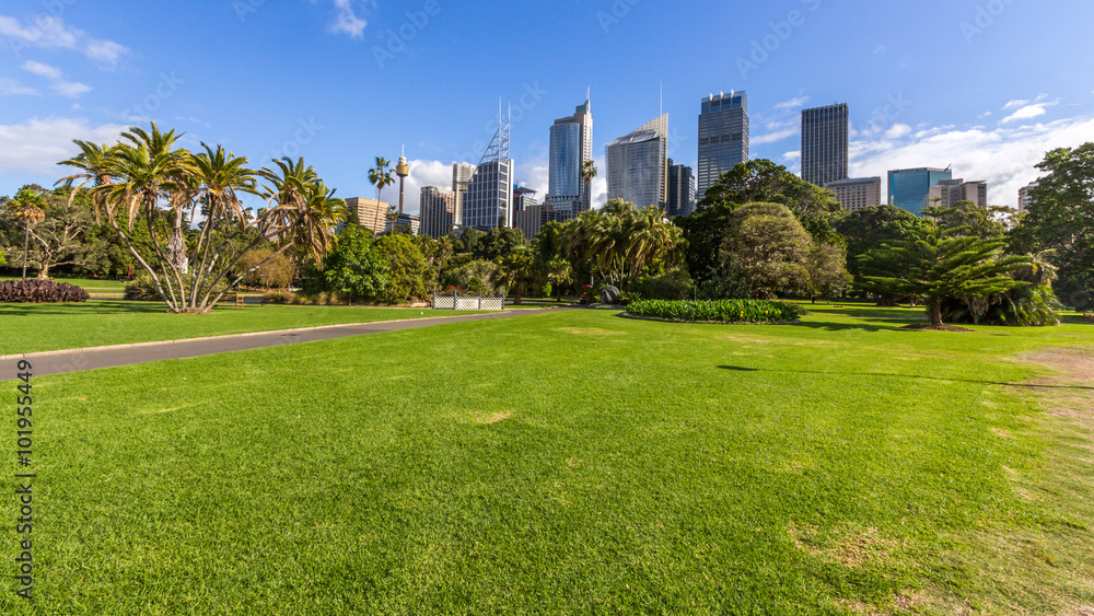 Sydney Skyline view from the Royal Botanic Gardens.