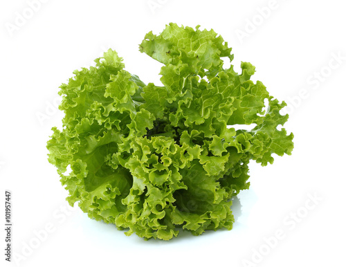 lettuce on white background 