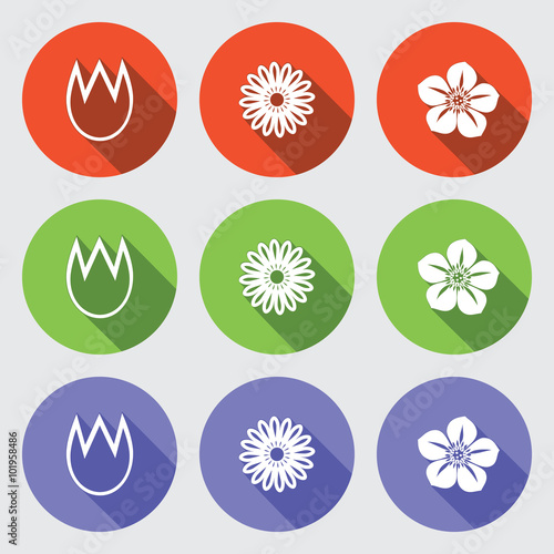 Flower icon set. Tulip, camomile, daisy, orchid. Floral symbol. White sign on round green, orange, lilac, flat buttons with long shadow. Vector isolated