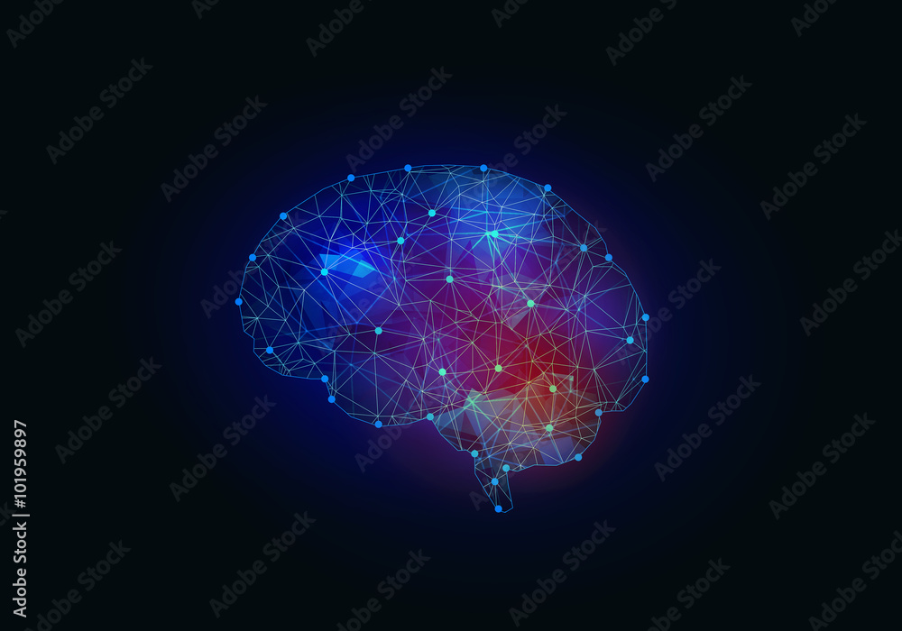 Digital human brain Digital human brain