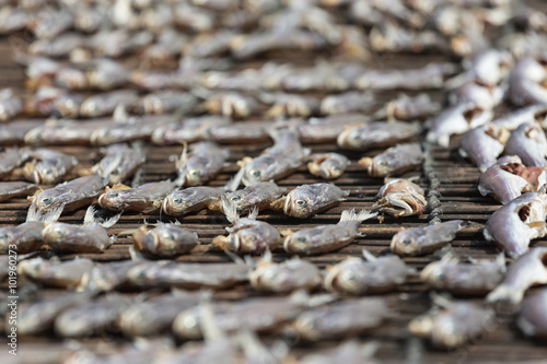 garland of salted and dried fish on wooden wall,dried fishes.