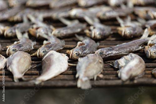 garland of salted and dried fish on wooden wall,dried fishes.